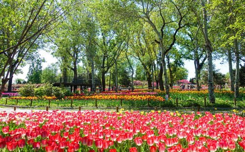 Our Work - Edgevision Global Limited